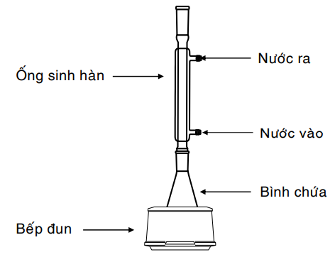 PHƯƠNG PHÁP ĐUN HỒI LƯU