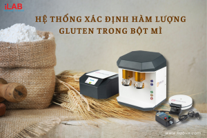 HỆ THỐNG XÁC ĐỊNH HÀM LƯỢNG GLUTEN TRONG BỘT MÌ