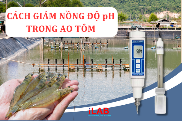 Cách giảm nồng độ pH trong ao tôm