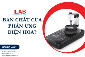 Bản chất chất của phản ứng điện hóa?