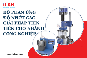 Bộ phản ứng độ nhớt cao - Giải pháp tiên tiến cho ngành công nghiệp
