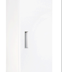 TỦ ĐÔNG ĐỨNG PDF 530 W (White finishing)