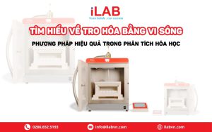 Tro hóa bằng vi sóng