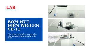 Wiggen-VE-11-