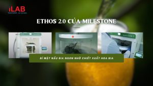 ETHOS-2.0-cua-Milestone-Bi-mat-nau-bia-ngon-nho-chiet-xuat-bia