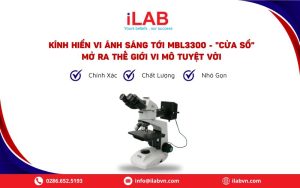 Kính Hiển Vi Ánh Sáng Tới MBL3300 - "Cửa Sổ" Mở Ra Thế Giới Vi Mô Tuyệt Vời