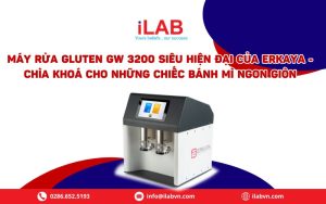 Máy Rửa Gluten GW 3200