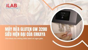 Máy Rửa Gluten GW 3200