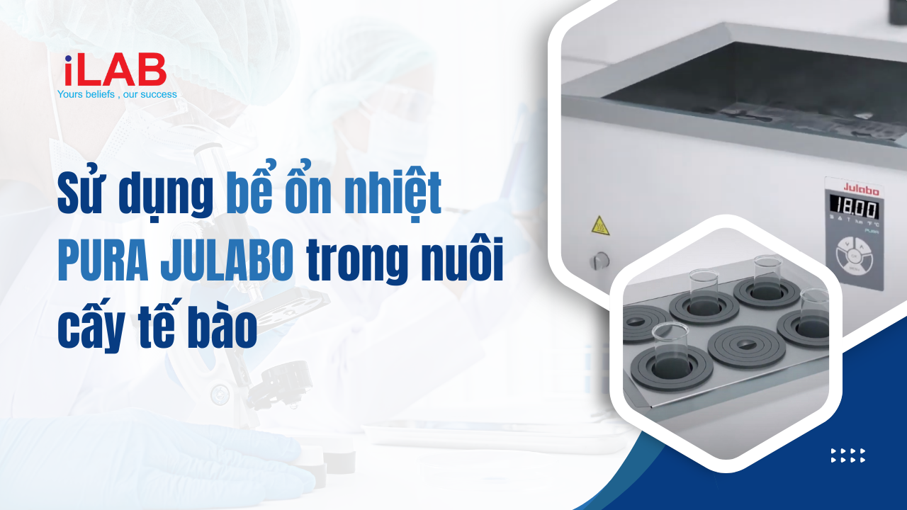 Banner Sử dụng bể ổn nhiệt PURA JULABO trong nuôi cấy tế bào