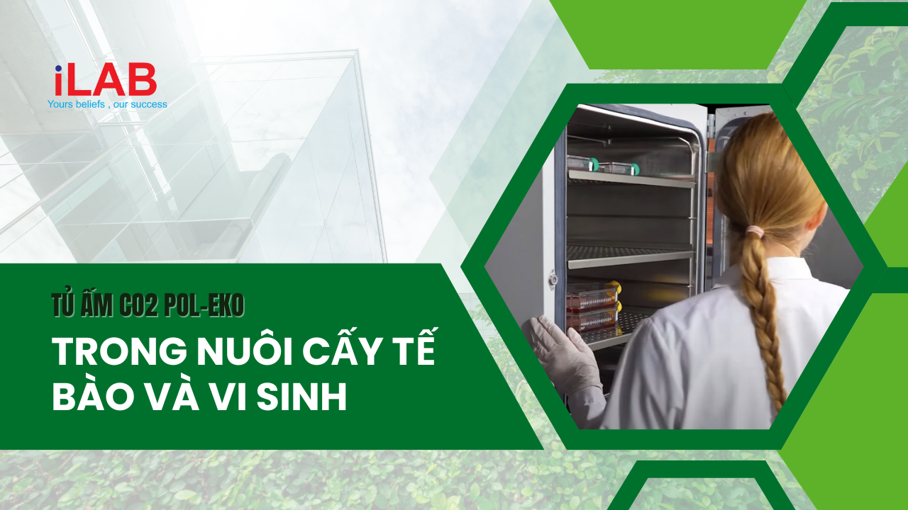 Banner Tủ ấm CO2 Pol-Eko trong nuôi cấy tế bào và vi sinh