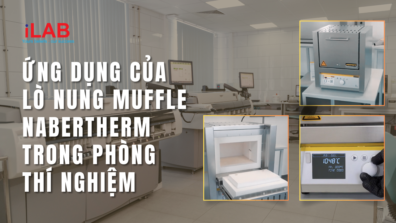 Banner Ứng dụng của lò nung Muffle Nabertherm trong phòng thí nghiệm hiện đại